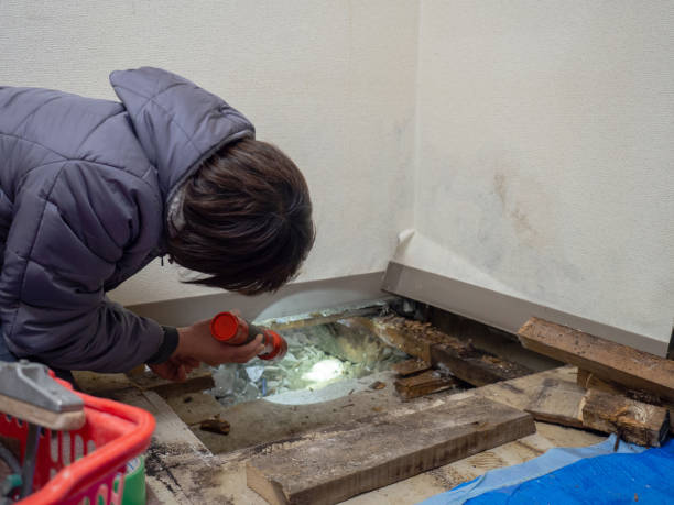 Best Dehumidification Services  in Iuka, MS