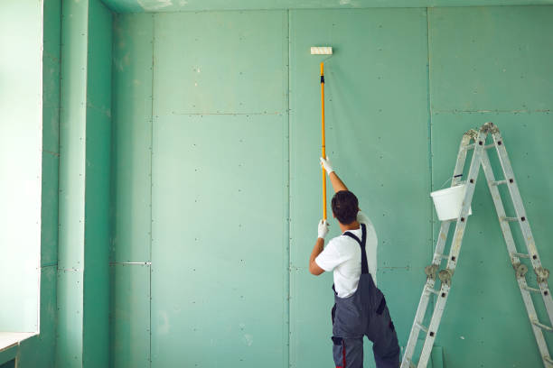 Best Mold Removal for HVAC Installations  in Iuka, MS