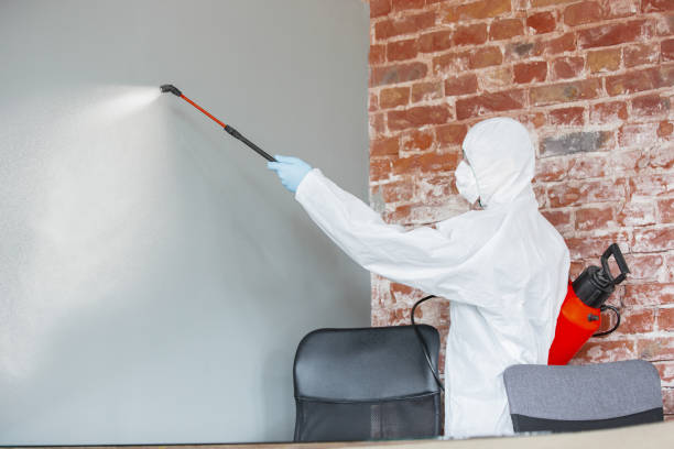 Best Commercial Mold Inspection  in Iuka, MS