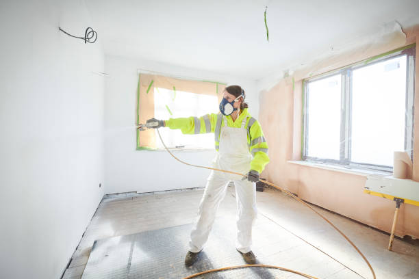 Best Mold Odor Removal Services  in Iuka, MS