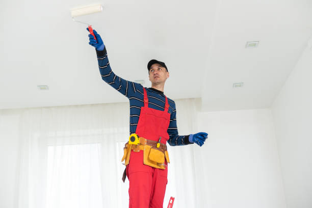Best Water Damage & Mold Remediation  in Iuka, MS