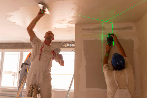 Best Emergency Mold Remediation  in Iuka, MS