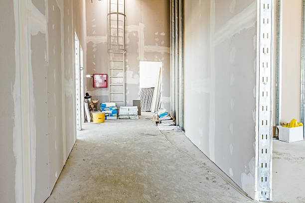 Trusted Iuka, MS Mold Removal Experts