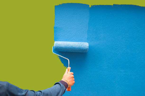 Best Basement Mold Removal  in Iuka, MS
