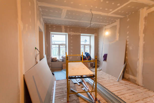 Best Attic Mold Removal  in Iuka, MS